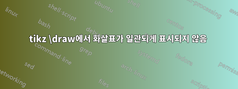 tikz \draw에서 화살표가 일관되게 표시되지 않음