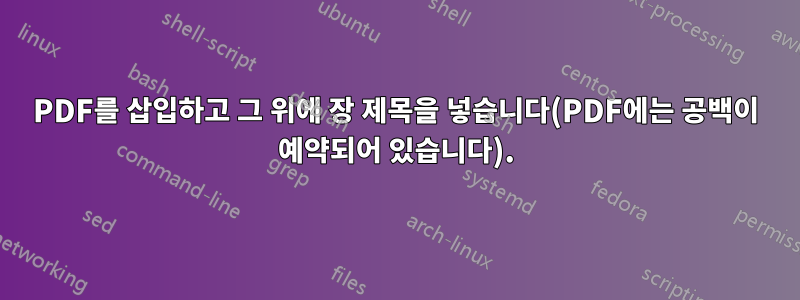 PDF를 삽입하고 그 위에 장 제목을 넣습니다(PDF에는 공백이 예약되어 있습니다).