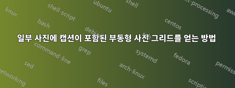 일부 사진에 캡션이 포함된 부동형 사진 그리드를 얻는 방법