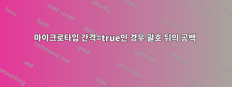 마이크로타입 간격=true인 경우 괄호 뒤의 공백