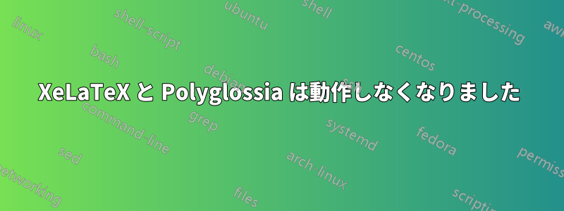 XeLaTeX と Polyglossia は動作しなくなりました