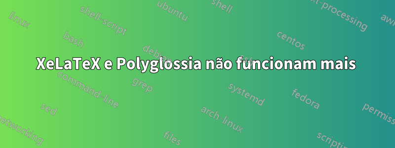 XeLaTeX e Polyglossia não funcionam mais