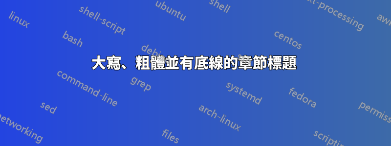 大寫、粗體並有底線的章節標題