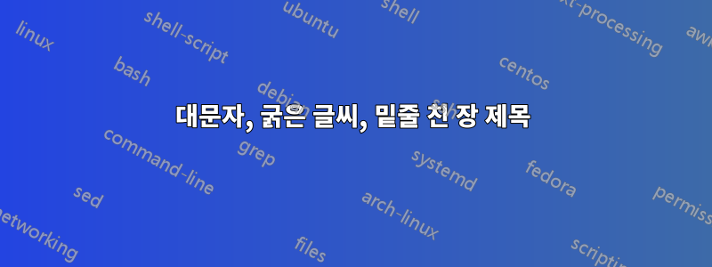 대문자, 굵은 글씨, 밑줄 친 장 제목