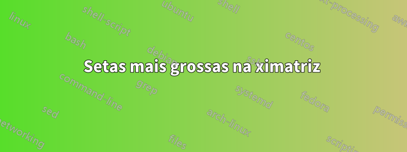 Setas mais grossas na ximatriz