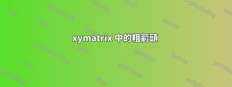 xymatrix 中的粗箭頭