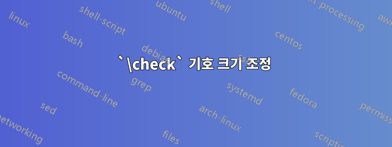 `\check` 기호 크기 조정