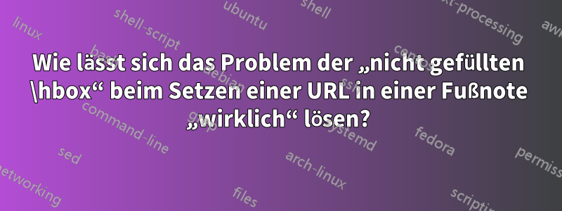 Wie lässt sich das Problem der „nicht gefüllten \hbox“ beim Setzen einer URL in einer Fußnote „wirklich“ lösen?