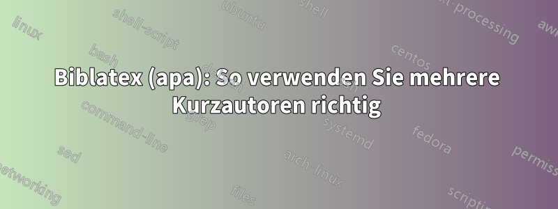 Biblatex (apa): So verwenden Sie mehrere Kurzautoren richtig