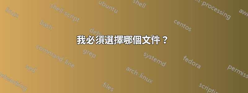 我必須選擇哪個文件？