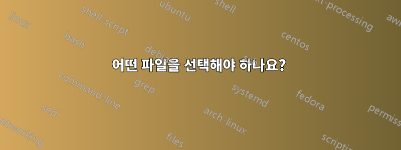 어떤 파일을 선택해야 하나요?