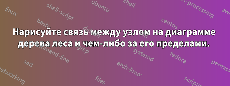 Нарисуйте связь между узлом на диаграмме дерева леса и чем-либо за его пределами.