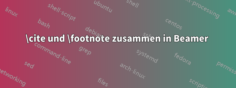 \cite und \footnote zusammen in Beamer