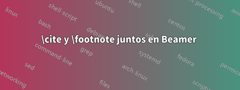 \cite y \footnote juntos en Beamer