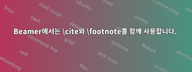 Beamer에서는 \cite와 \footnote를 함께 사용합니다.