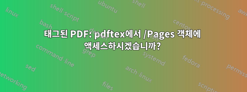태그된 PDF: pdftex에서 /Pages 객체에 액세스하시겠습니까?