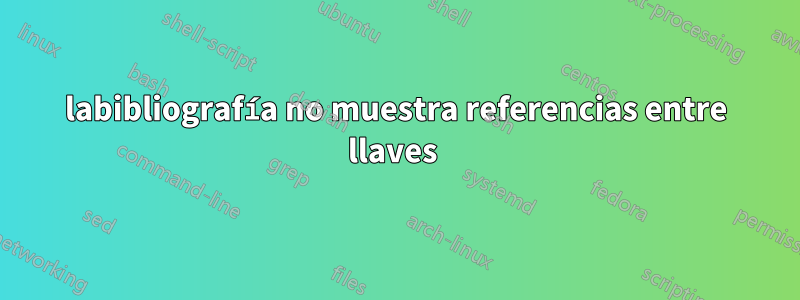 labibliografía no muestra referencias entre llaves 