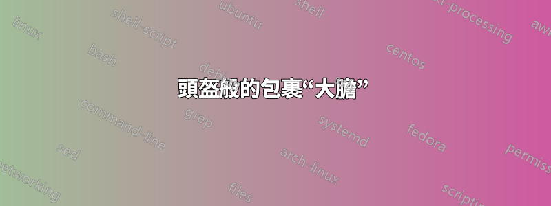 頭盔般的包裹“大膽”