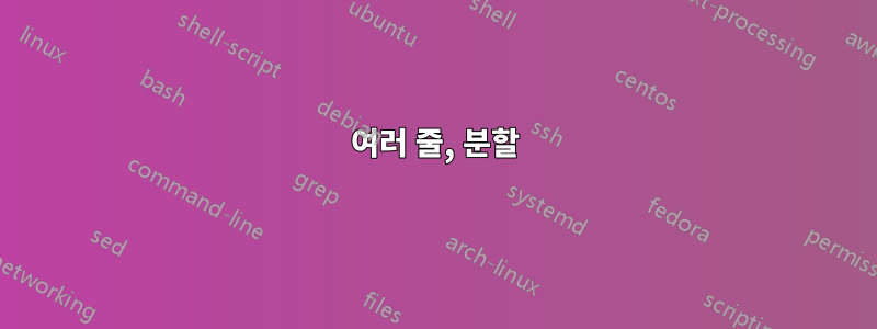 여러 줄, 분할