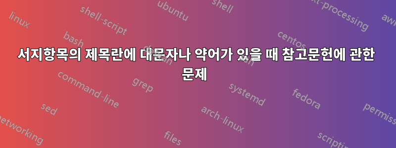 서지항목의 ​​제목란에 대문자나 약어가 있을 때 참고문헌에 관한 문제 