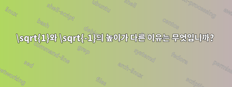 \sqrt{1}와 \sqrt{-1}의 높이가 다른 이유는 무엇입니까?