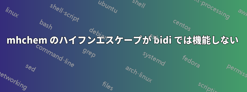 mhchem のハイフンエスケープが bidi では機能しない