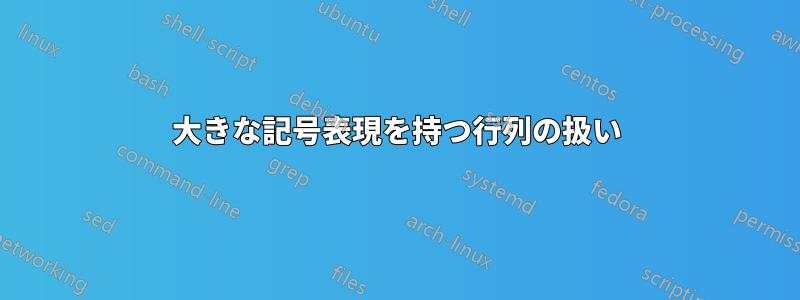 大きな記号表現を持つ行列の扱い