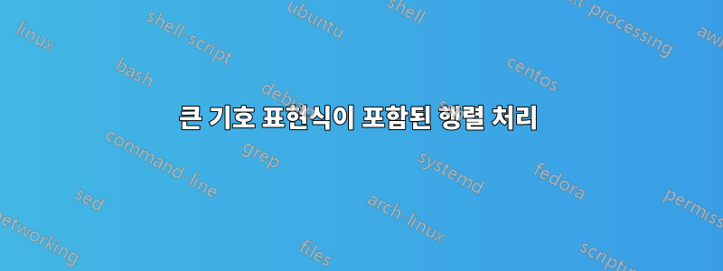 큰 기호 표현식이 포함된 행렬 처리