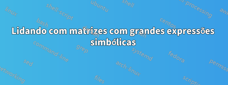 Lidando com matrizes com grandes expressões simbólicas