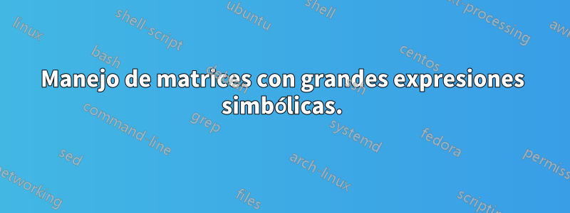 Manejo de matrices con grandes expresiones simbólicas.