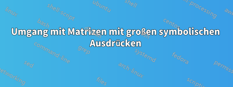 Umgang mit Matrizen mit großen symbolischen Ausdrücken
