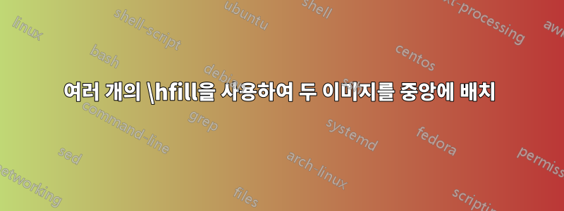 여러 개의 \hfill을 사용하여 두 이미지를 중앙에 배치