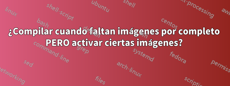 ¿Compilar cuando faltan imágenes por completo PERO activar ciertas imágenes?