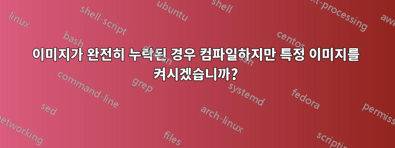 이미지가 완전히 누락된 경우 컴파일하지만 특정 이미지를 켜시겠습니까?
