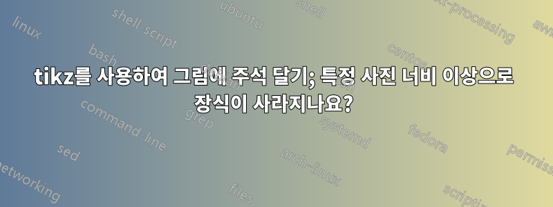tikz를 사용하여 그림에 주석 달기; 특정 사진 너비 이상으로 장식이 사라지나요?