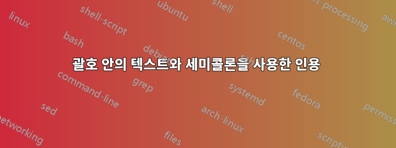 괄호 안의 텍스트와 세미콜론을 사용한 인용