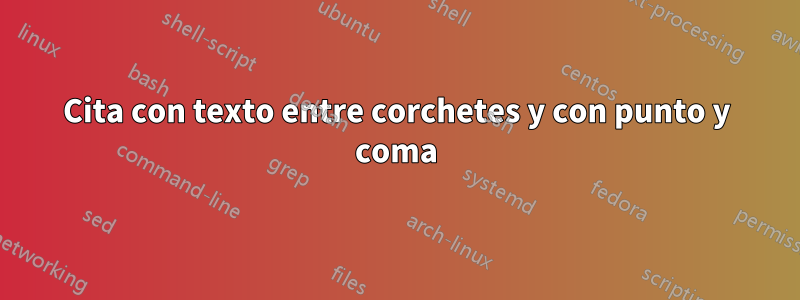 Cita con texto entre corchetes y con punto y coma