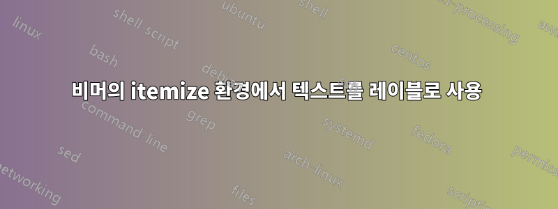 비머의 itemize 환경에서 텍스트를 레이블로 사용