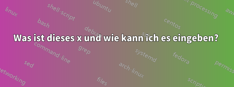 Was ist dieses x und wie kann ich es eingeben?