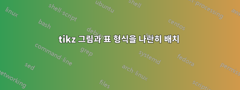 tikz 그림과 표 형식을 나란히 배치