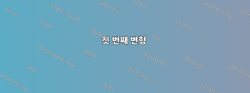 첫 번째 변형