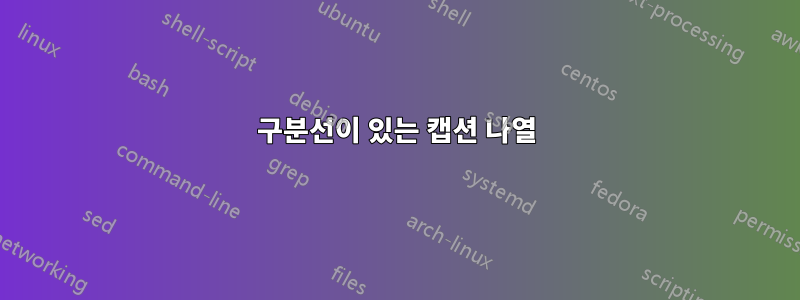 구분선이 있는 캡션 나열