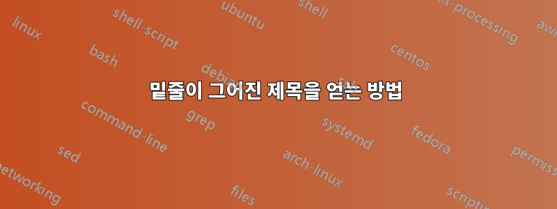 밑줄이 그어진 제목을 얻는 방법
