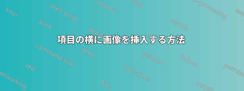 項目の横に画像を挿入する方法