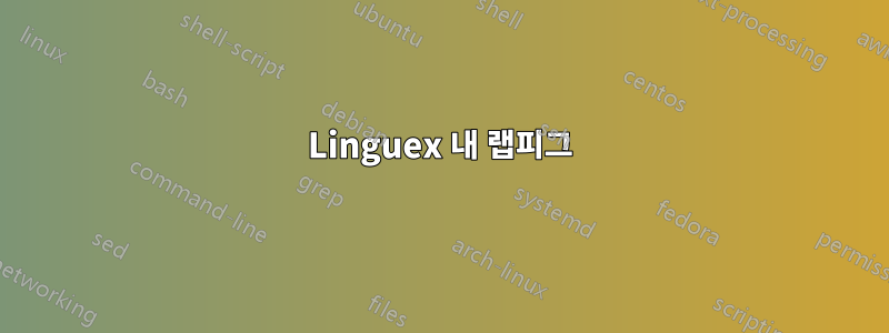 Linguex 내 랩피그