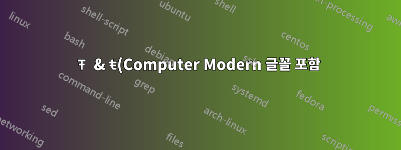 Ŧ & ŧ(Computer Modern 글꼴 포함)(u+0166 & u+0167 – 획이 있는 라틴 문자 T)