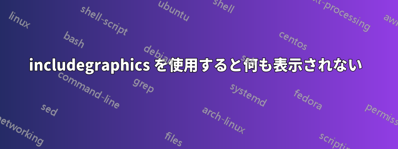 includegraphics を使用すると何も表示されない 