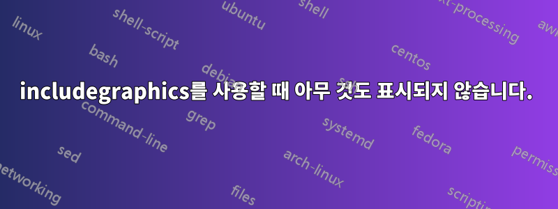 includegraphics를 사용할 때 아무 것도 표시되지 않습니다.