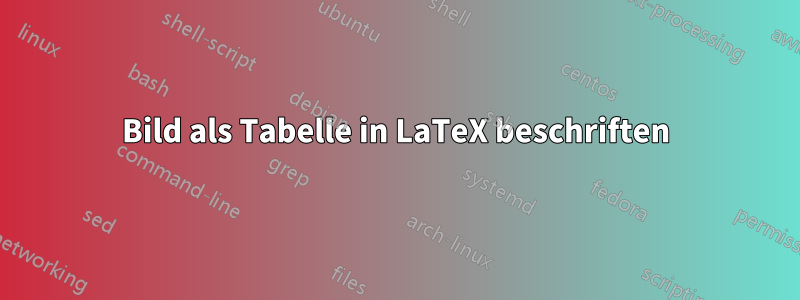 Bild als Tabelle in LaTeX beschriften