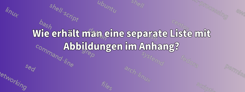 Wie erhält man eine separate Liste mit Abbildungen im Anhang?